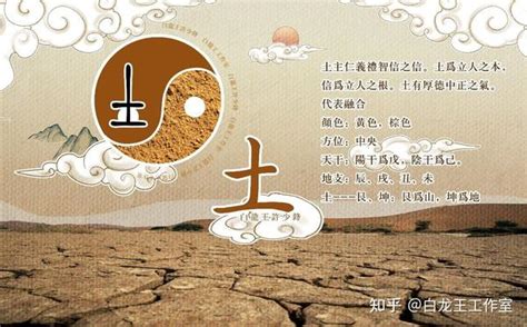 屬土人|什么是己土命 土命人命理五行屬己土